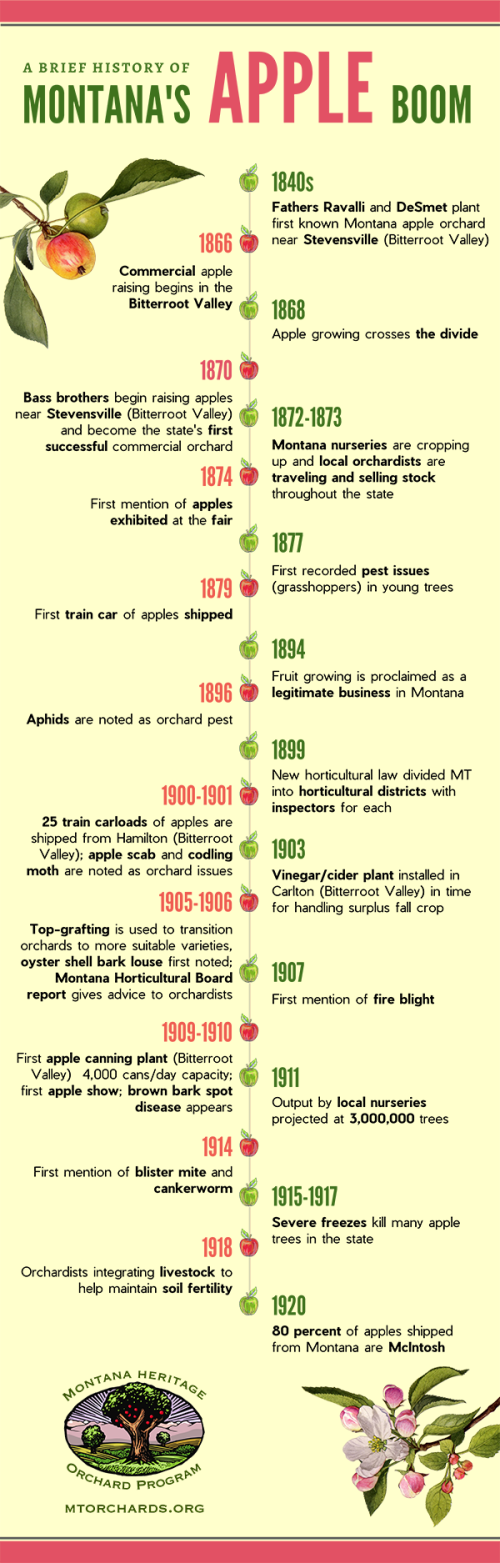ADA-Montana-Apple-Boom-Infographic-web.png