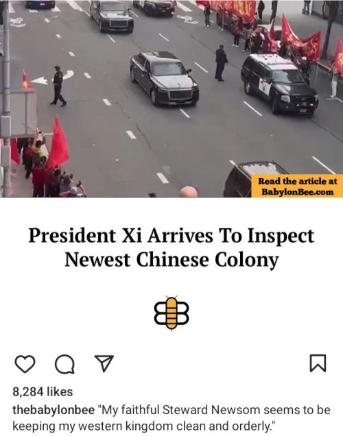 Screenshot_20231116_123254_Instagram.jpg