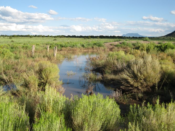 ranch 049.JPG ranch 049.JPG