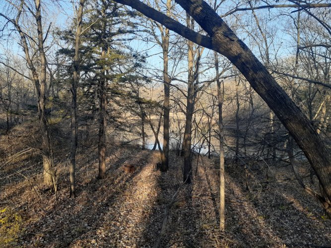 20231117_153226.jpg 20231117_153226.jpg