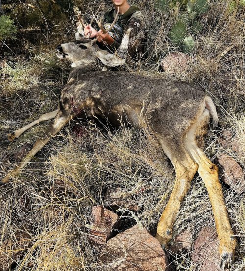 Tikka223Muley.jpg Tikka223Muley.jpg