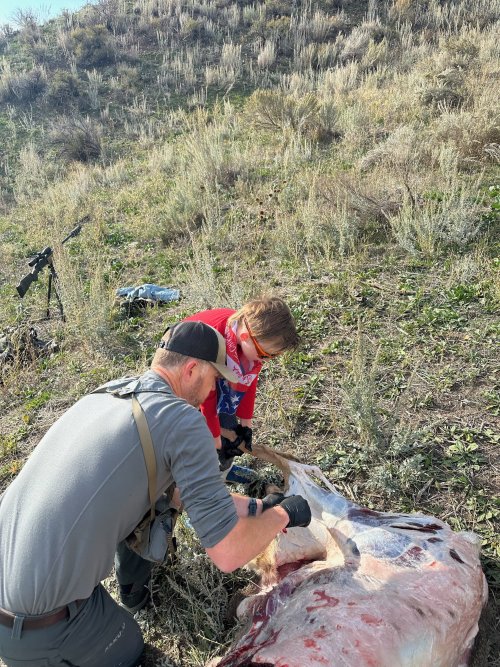 IMG_2772.jpeg IMG_2772.jpeg