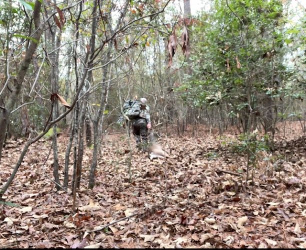 8 crossbow 5.jpg 8 crossbow 5.jpg