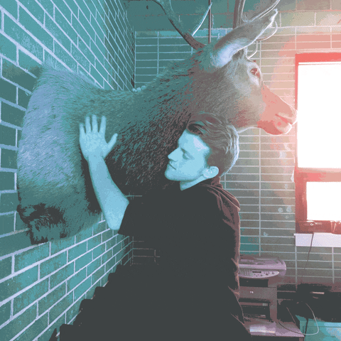 tmp.gif tmp.gif