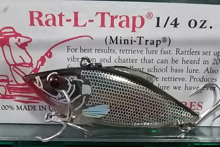 1701448512943.png