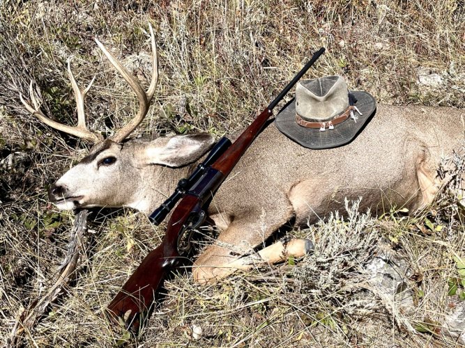 300 Savage muley.jpg