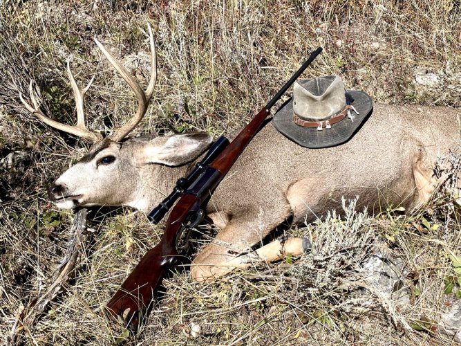 300 Savage muley.jpg 300 Savage muley.jpg