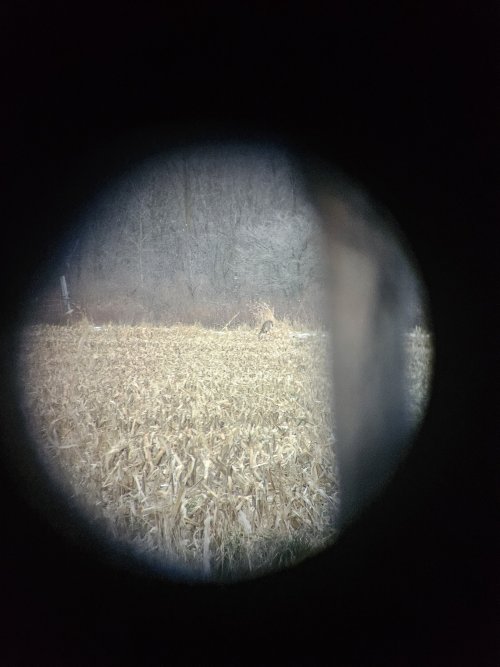 20231203_154235.jpg