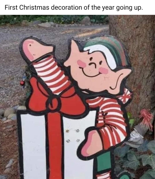 1701821371540.png 1701821371540.png