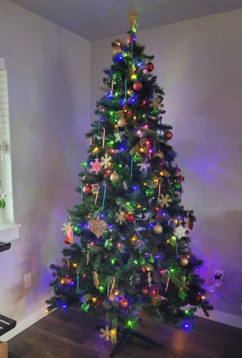 Christmass tree.jpg
