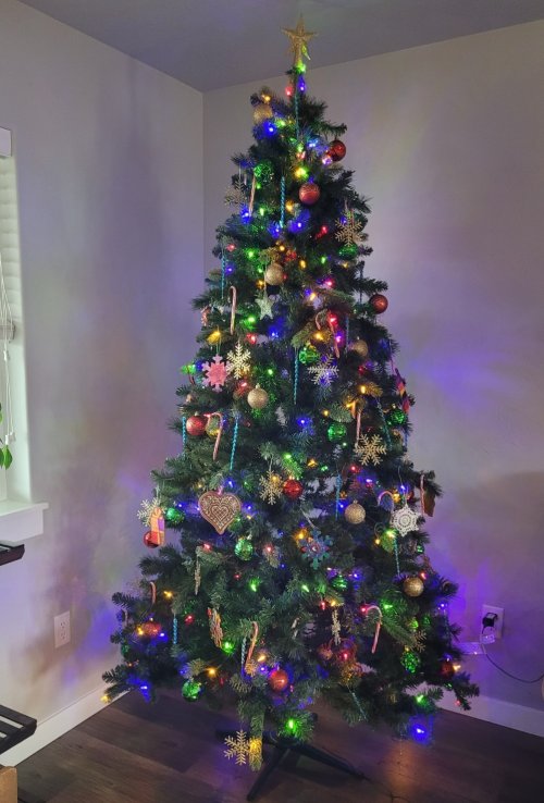 Christmass tree.jpg Christmass tree.jpg