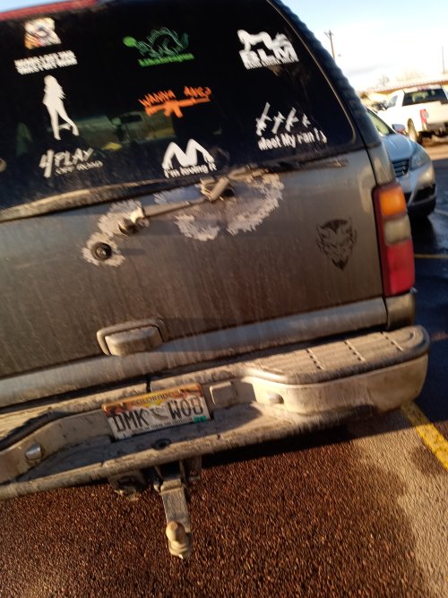 stupid window stickers.jpg