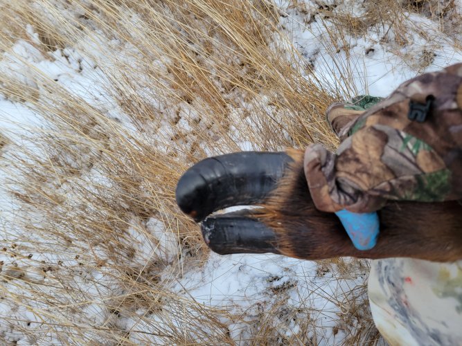 20231210_121037.jpg 20231210_121037.jpg
