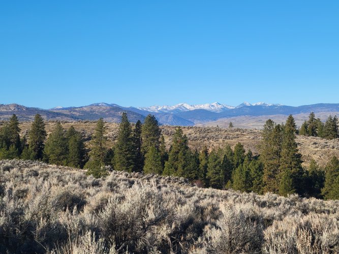 20231124_094846.jpg 20231124_094846.jpg