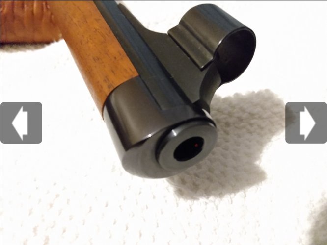 _storage_emulated_0_DCIM_Guns_Screenshot_20210313-121334_Chrome.jpeg