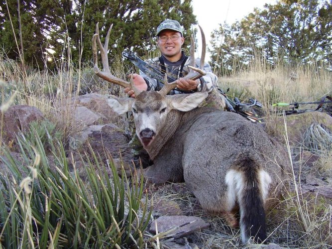 How-Often-do-Whitetail-and-Mule-Deer-Hybridize-2.jpg
