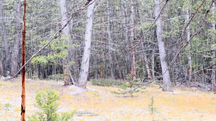 sleet.jpg sleet.jpg