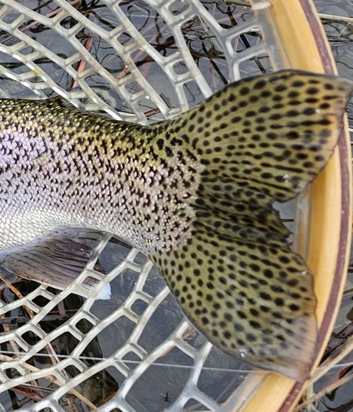20231223_142359.jpg 20231223_142359.jpg