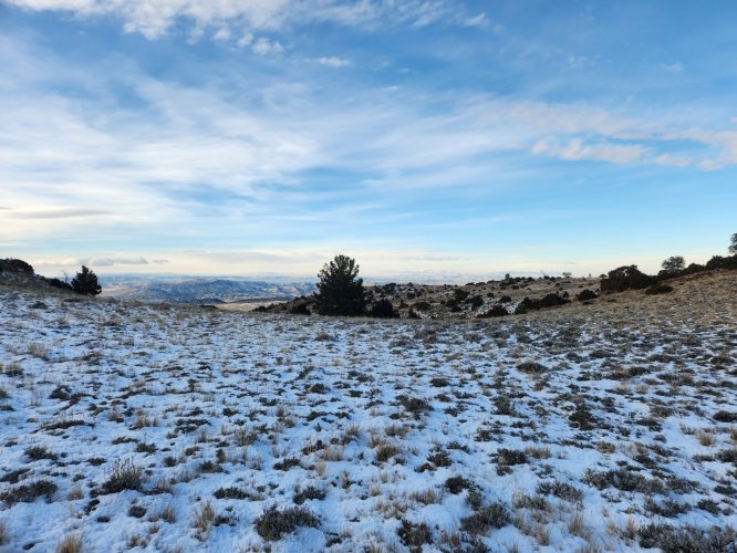 Screenshot_20231224_133433_Gallery.jpg Screenshot_20231224_133433_Gallery.jpg