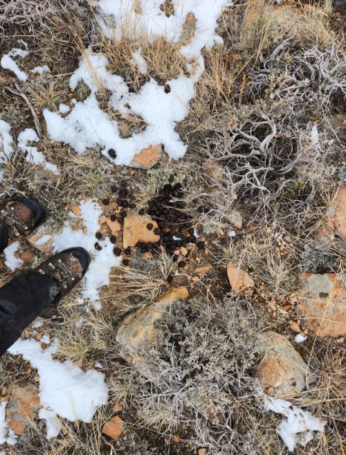 Screenshot_20231224_133506_Gallery.jpg Screenshot_20231224_133506_Gallery.jpg