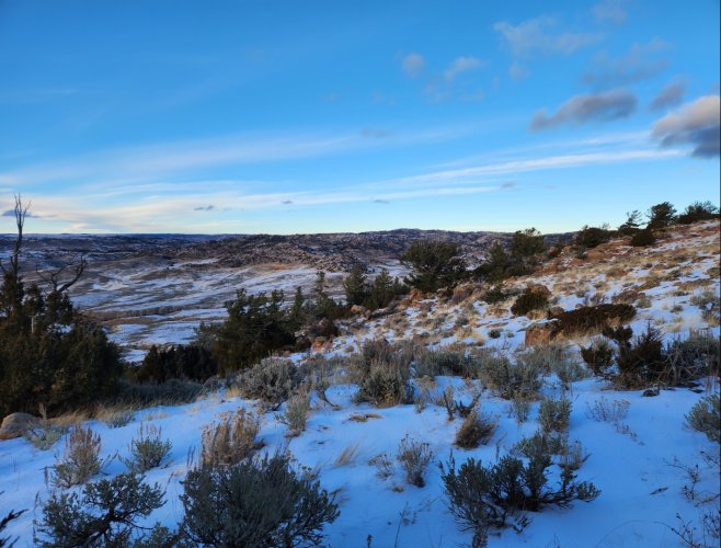 Screenshot_20231224_133819_Gallery.jpg Screenshot_20231224_133819_Gallery.jpg