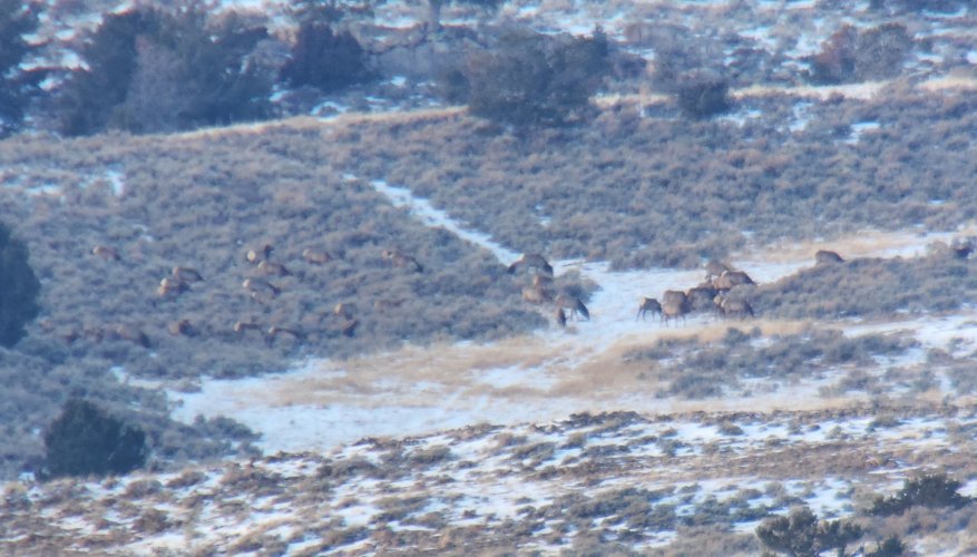 Screenshot_20231224_133827_Gallery.jpg Screenshot_20231224_133827_Gallery.jpg