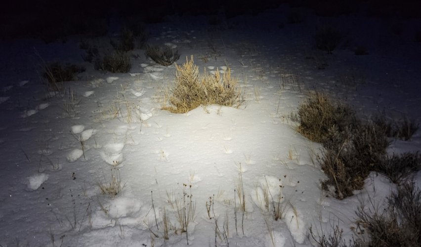 Screenshot_20231224_133859_Gallery.jpg Screenshot_20231224_133859_Gallery.jpg