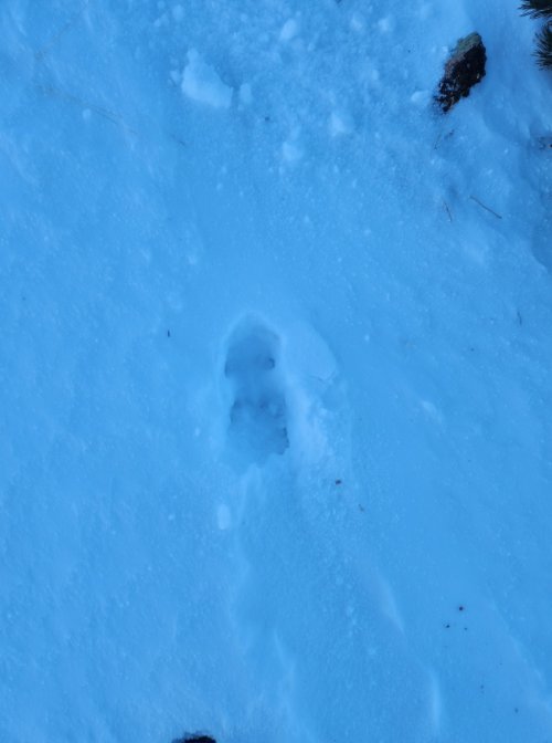 Screenshot_20231224_133931_Gallery.jpg Screenshot_20231224_133931_Gallery.jpg