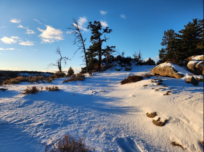 Screenshot_20231224_133941_Gallery.jpg Screenshot_20231224_133941_Gallery.jpg