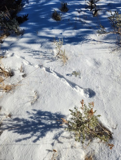 Screenshot_20231224_133958_Gallery.jpg Screenshot_20231224_133958_Gallery.jpg