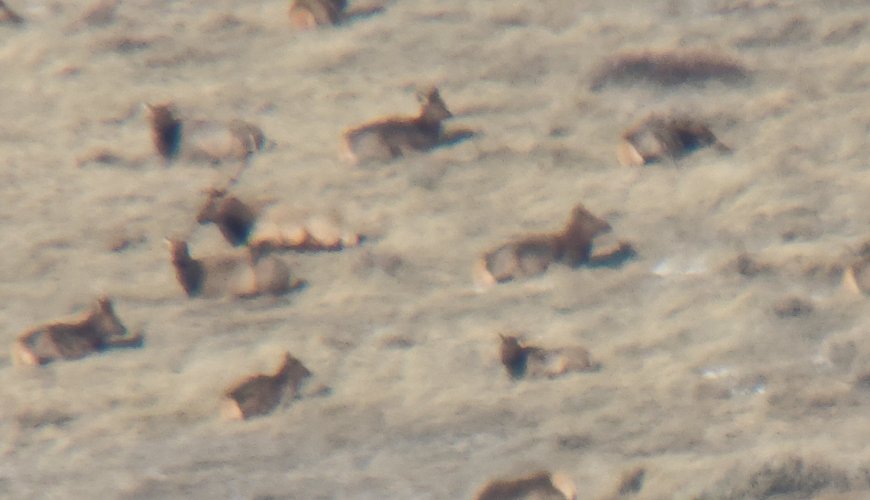 Screenshot_20231224_134144_Gallery.jpg Screenshot_20231224_134144_Gallery.jpg