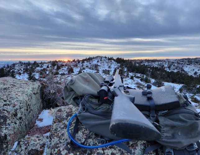 Screenshot_20231224_134239_Gallery.jpg Screenshot_20231224_134239_Gallery.jpg