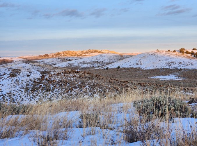 Screenshot_20231224_134437_Gallery.jpg Screenshot_20231224_134437_Gallery.jpg