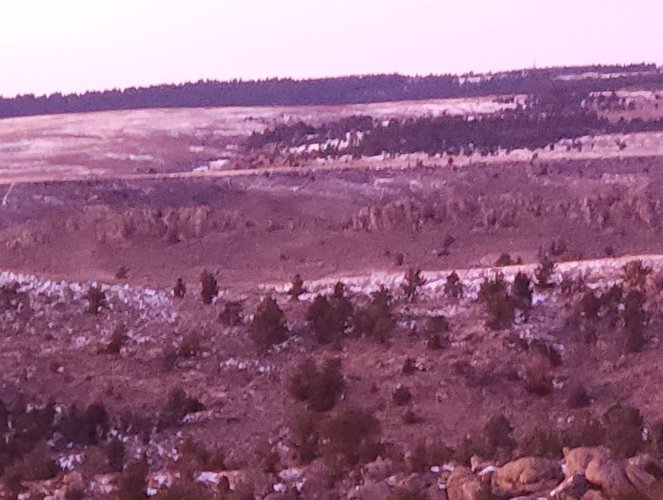 Screenshot_20231224_134447_Gallery.jpg Screenshot_20231224_134447_Gallery.jpg