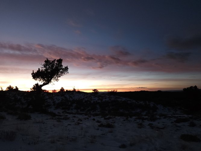 Screenshot_20231224_134622_Gallery.jpg Screenshot_20231224_134622_Gallery.jpg