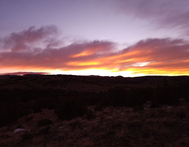 Screenshot_20231224_134645_Gallery.jpg Screenshot_20231224_134645_Gallery.jpg