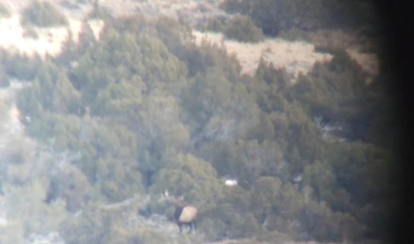 Screenshot_20231224_134711_Gallery.jpg Screenshot_20231224_134711_Gallery.jpg