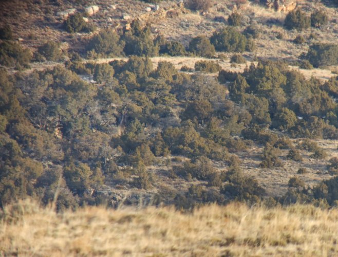 Screenshot_20231224_134727_Gallery.jpg Screenshot_20231224_134727_Gallery.jpg