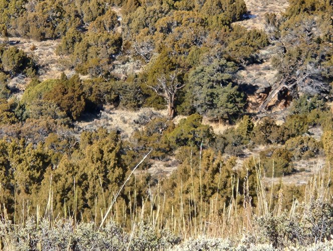 Screenshot_20231224_135425_Gallery.jpg Screenshot_20231224_135425_Gallery.jpg