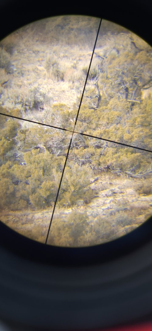 Screenshot_20231224_135443_Gallery.jpg Screenshot_20231224_135443_Gallery.jpg