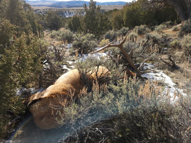 Screenshot_20231224_135458_Gallery.jpg Screenshot_20231224_135458_Gallery.jpg