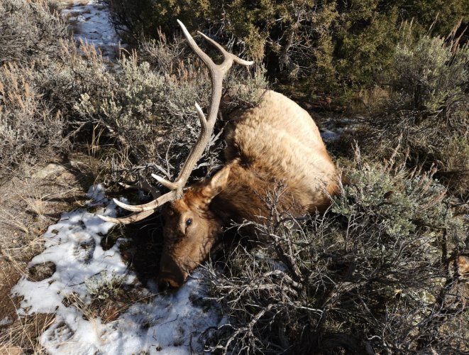 Screenshot_20231224_135501_Gallery.jpg Screenshot_20231224_135501_Gallery.jpg