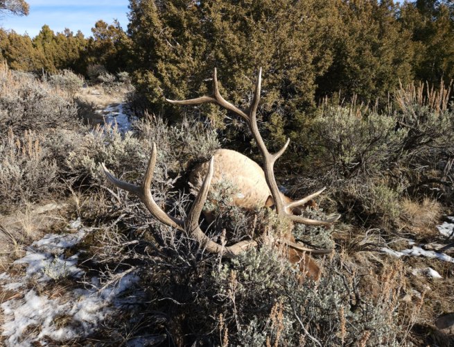 Screenshot_20231224_135515_Gallery.jpg Screenshot_20231224_135515_Gallery.jpg