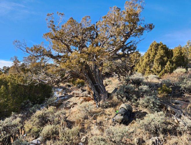 Screenshot_20231224_135524_Gallery.jpg Screenshot_20231224_135524_Gallery.jpg