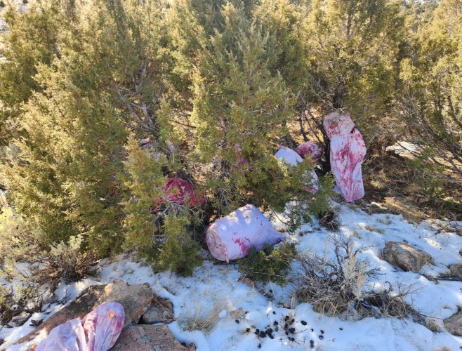 Screenshot_20231224_135559_Gallery.jpg Screenshot_20231224_135559_Gallery.jpg