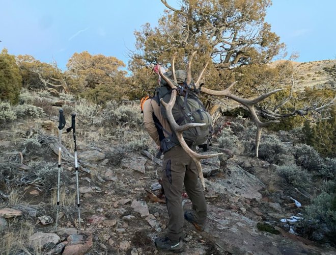 Screenshot_20231224_135631_Gallery.jpg Screenshot_20231224_135631_Gallery.jpg