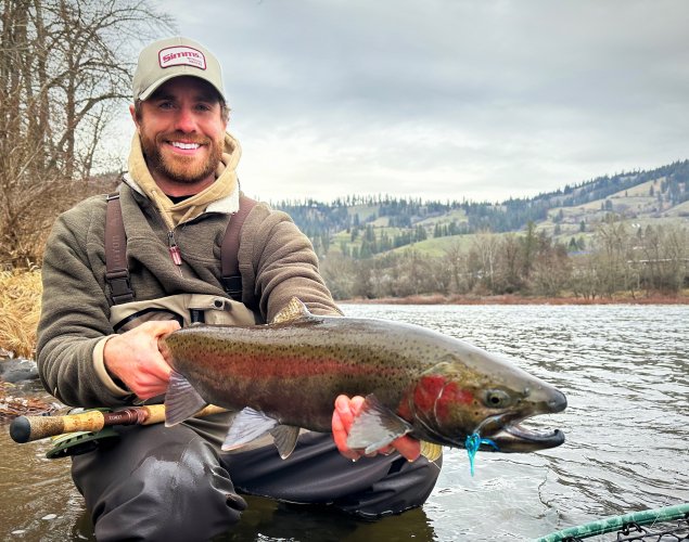 Clearwater steelhead