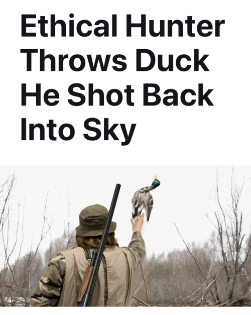 1703914265993.png 1703914265993.png