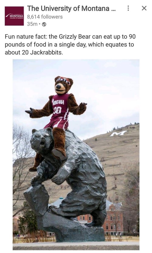 16614.jpeg 16614.jpeg