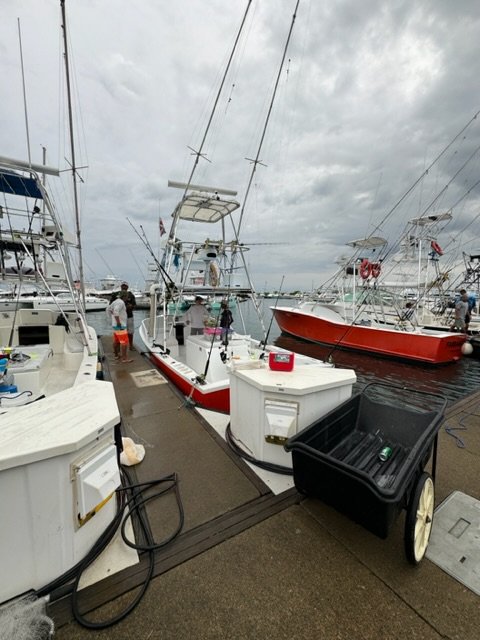 IMG_5893.jpeg IMG_5893.jpeg